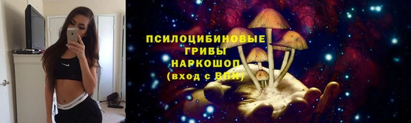 ECSTASY Вязники